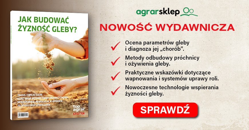 Jak budować żyzność gleby?